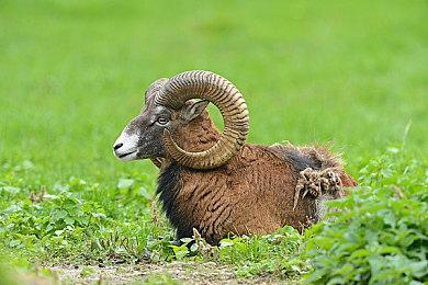 外媒精选本世纪初的15款佳作 《GTA4》在列