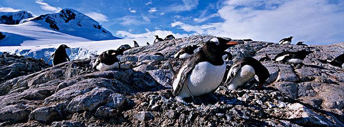 《祇：女神之道》Steam页面上线 年内发售