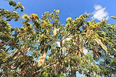 《卧龙：苍天陨落》发布新TVCM 3月3日0点解锁